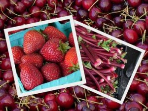 Strawberry, cherry, rhubarb (Cancler)