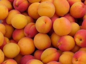 Apricots (Cancler)