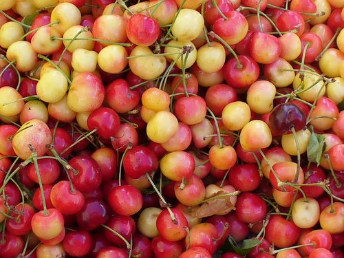 Different Types of Cherries: How to Use Them and more - Culinary Depot