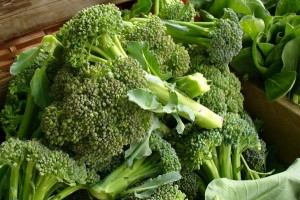 Broccoli (C.Cancler)