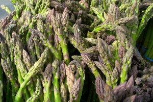 Asparagus (C.Cancler)