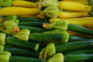 zucchini with flowers (C.Cancler)