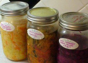 sauerkraut and kimchi variations (C.Cancler)