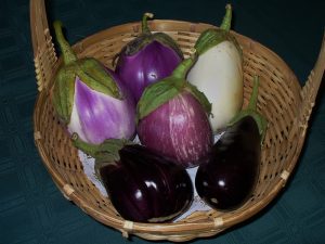 Eggplants photo copyright by Carole Cancler