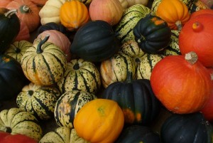 Winter squash Photo by Carole Cancler