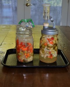 fermenting-vegetables-brine-filled-bag-l-farmcurious-fermenting-set-r-photo-copyright-by-carole-cancler