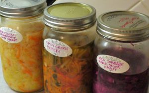 sauerkraut-and-kimchi-variations-photo-copyright-by-carole-cancler