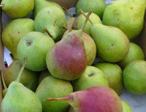 ubleen-pears-at-the-farmers-market-photo-copyright-by-carole-cancler